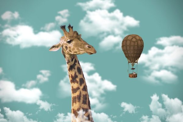 giraffe and hot air balloon